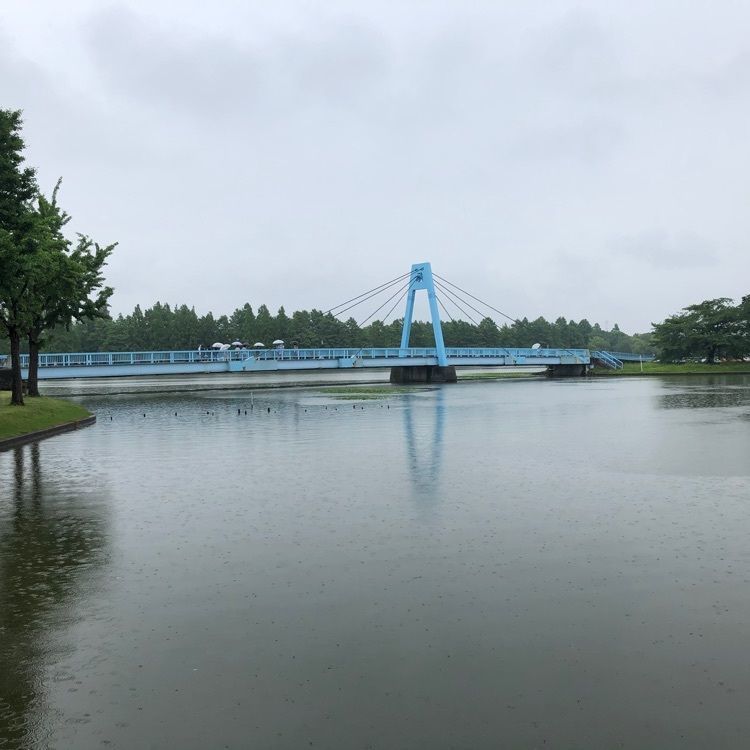 Akemiさんが投稿したメタセコイアの森（水元公園）に関する口コミの画像