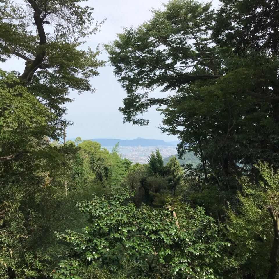 warm_village_b69fさんが投稿した第82番札所根香寺に関する口コミの画像