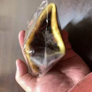 清寿軒 2枚目