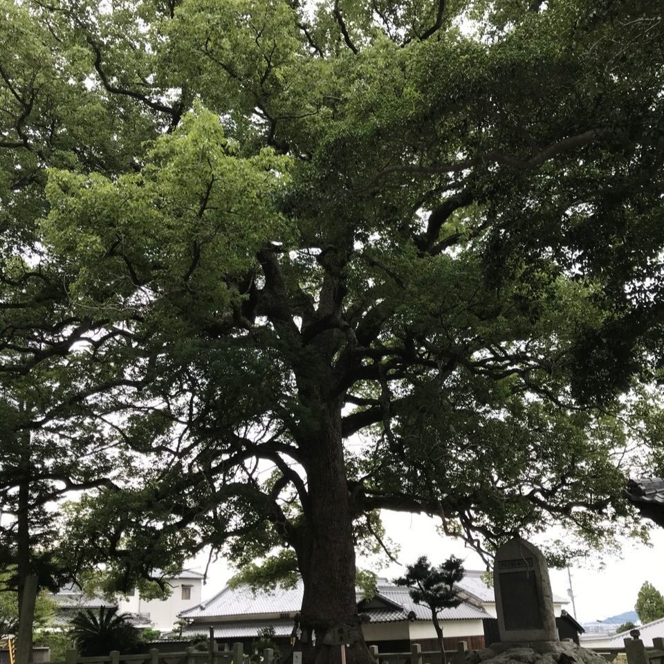 warm_village_b69fさんが投稿した天皇寺高照院に関する口コミの画像