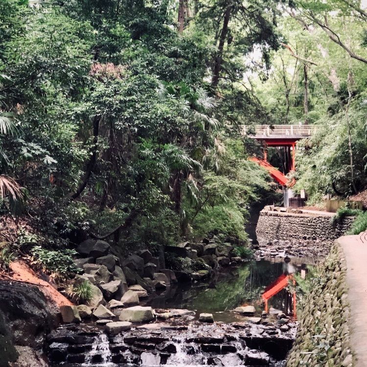 active34さんが投稿した玉川野毛町公園に関する口コミの画像