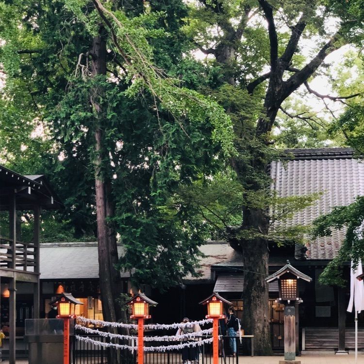 active34さんが投稿した玉川野毛町公園に関する口コミの画像