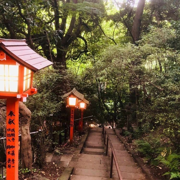 active34さんが投稿した玉川野毛町公園に関する口コミの画像