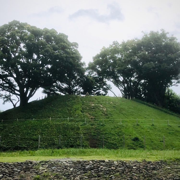 active34さんが投稿した玉川野毛町公園に関する口コミの画像