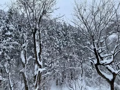医王山スポーツセンター