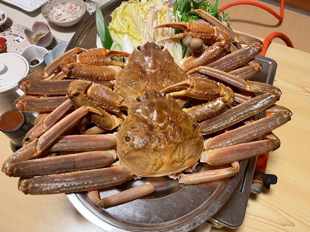 まーなんさんが投稿した鳴き砂温泉 ニュー丸田荘に関する口コミの画像