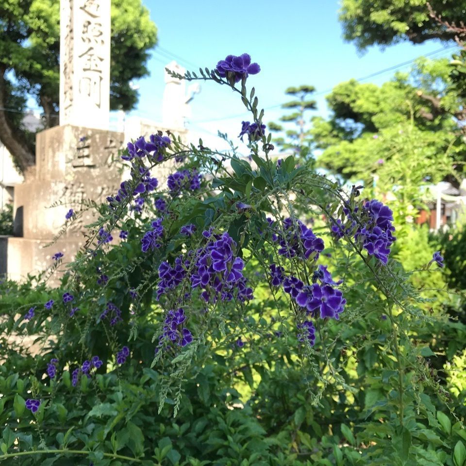 warm_village_b69fさんが投稿した第77番札所道隆寺に関する口コミの画像
