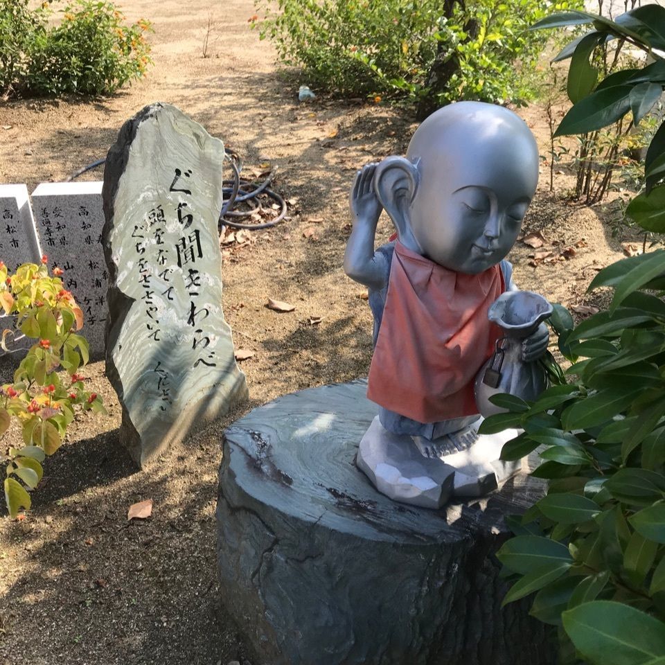 warm_village_b69fさんが投稿した金倉寺に関する口コミの画像