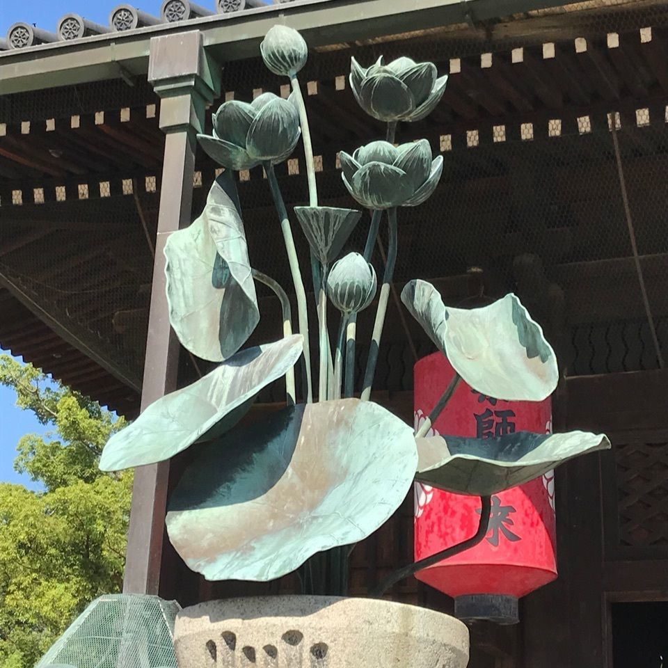 warm_village_b69fさんが投稿した総本山善通寺に関する口コミの画像