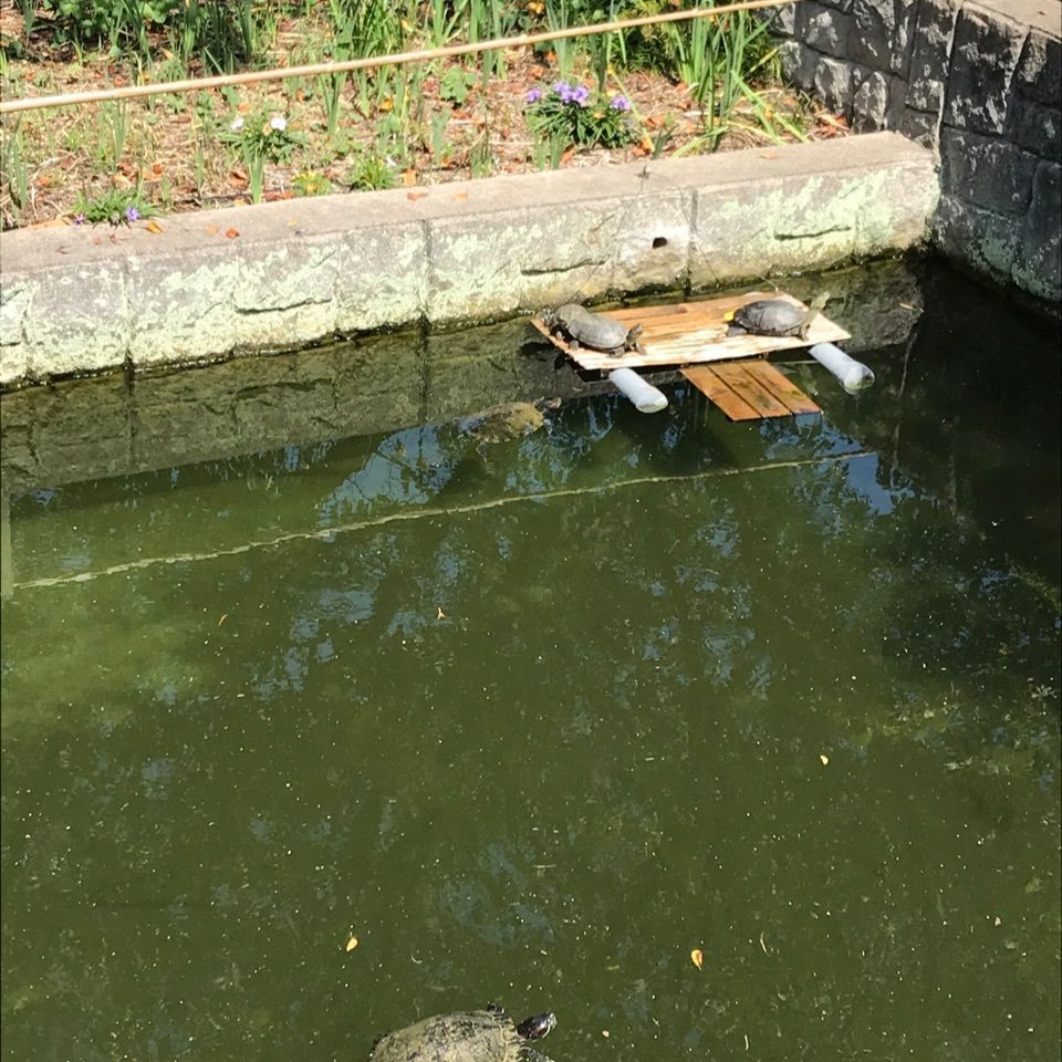 warm_village_b69fさんが投稿した曼荼羅寺に関する口コミの画像