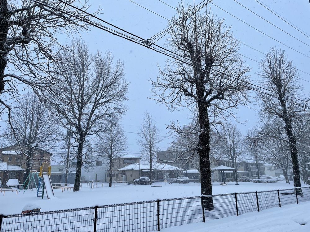 らぐ🏉🍺ビアさんが投稿したアリーカフェ（Ally caffe）に関する口コミの画像