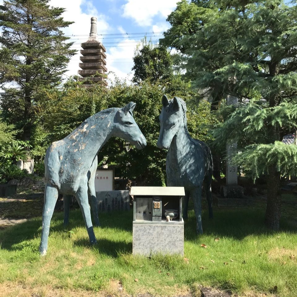 warm_village_b69fさんが投稿した本山寺本堂に関する口コミの画像