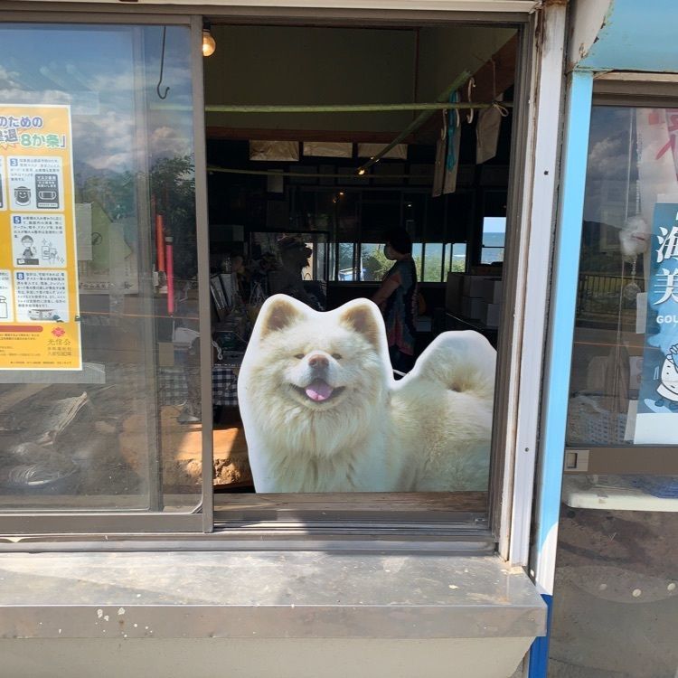 のりさん  さんが投稿した菊谷商店に関する口コミの画像