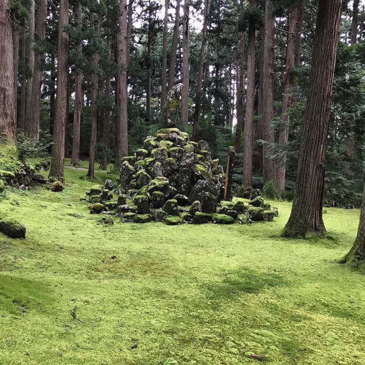 べべさんが投稿した史跡白山平泉寺旧境内に関する口コミの画像