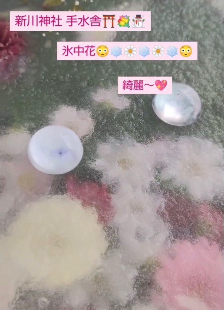 ぺたこ♡さんが投稿した新川神社に関する口コミの画像