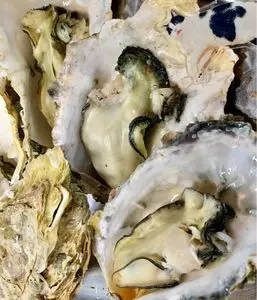 浜田水産