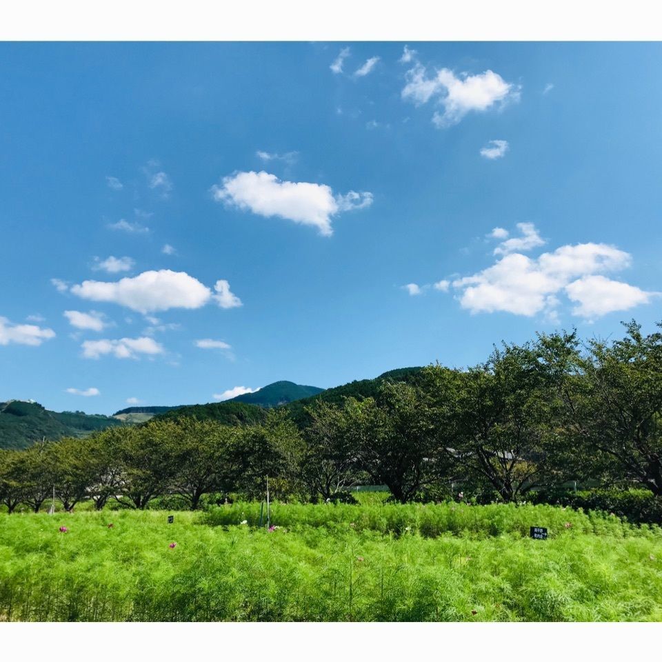 ＫMＴKさんが投稿した一瀬王子跡に関する口コミの画像