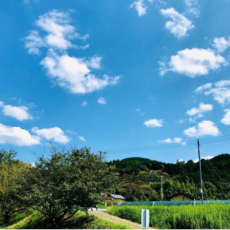 ＫMＴKさんが投稿した一瀬王子跡に関する口コミの画像