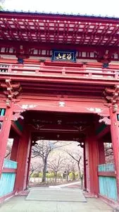 清水公園