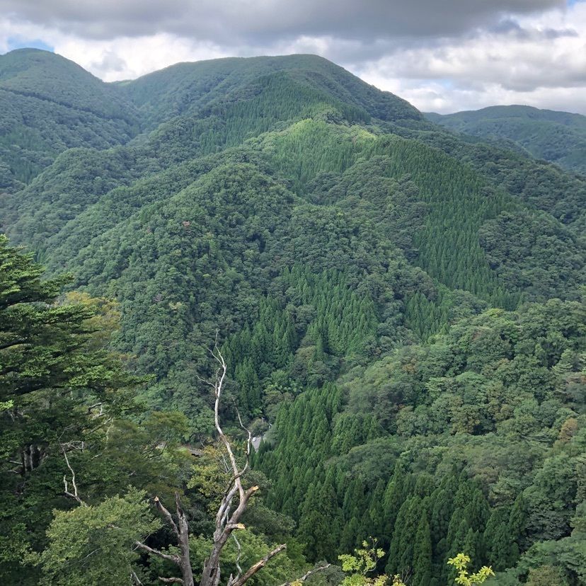 雲霧さんが投稿した三徳山に関する口コミの画像