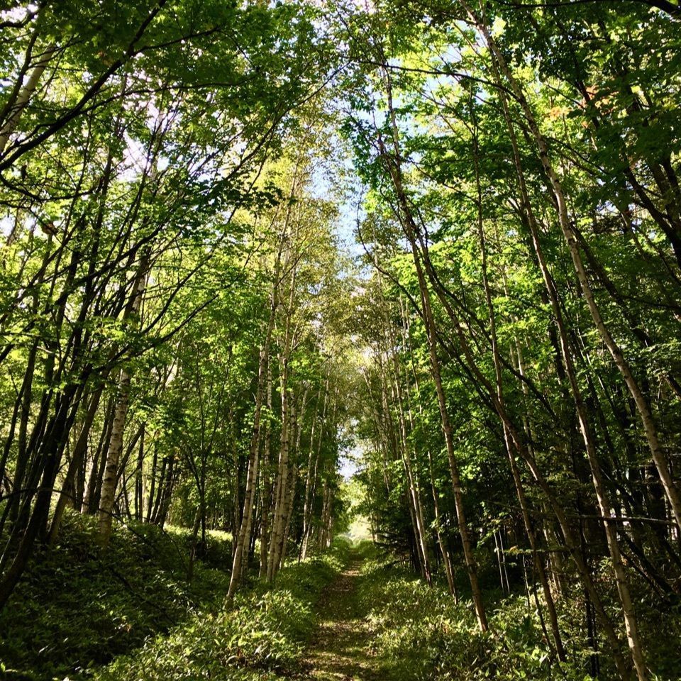 yoshiさんが投稿した上士幌町に関する口コミの画像