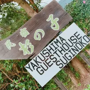 屋久島　民宿すぎのこ