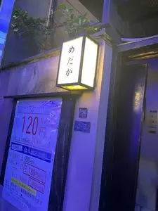 めだか