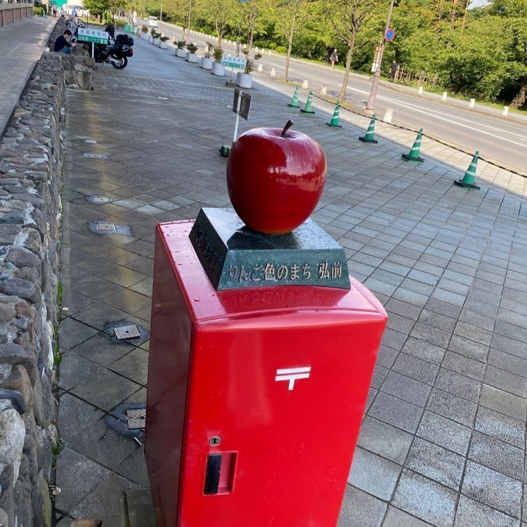 かめ_メグミさんが投稿した弘前市立観光館に関する口コミの画像