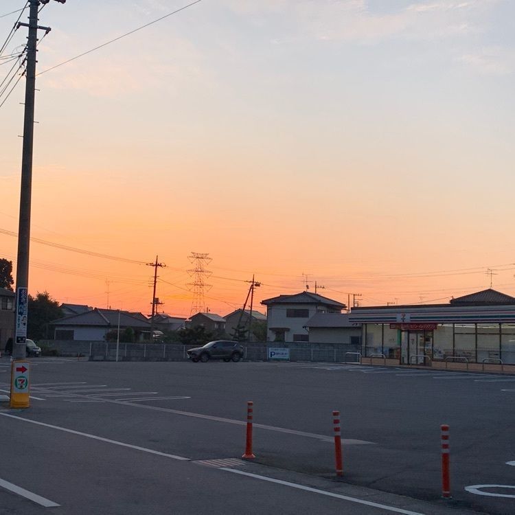 nori_sakikakeさんが投稿した花崎駅に関する口コミの画像