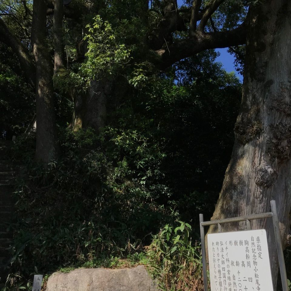 warm_village_b69fさんが投稿した大興寺（小松尾寺）に関する口コミの画像