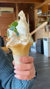イタリアンジェラート ドルチェ（Tokushima Doice）
