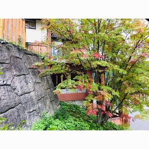 上人一休の湯 5枚目