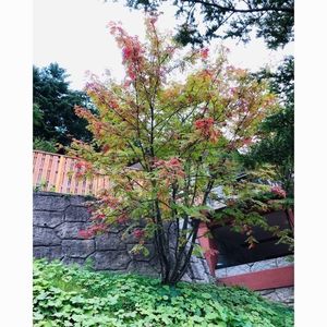 上人一休の湯 6枚目