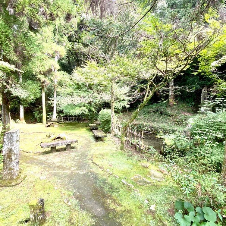 Rhapsodyさんが投稿した清水湧水に関する口コミの画像