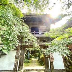 清水湧水 8枚目