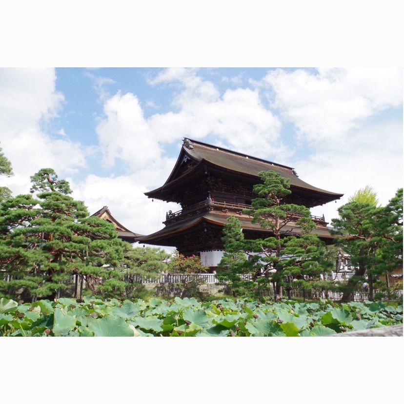 junkunさんが投稿した善光寺西街道に関する口コミの画像