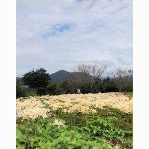 鉢巻山展望所 8枚目