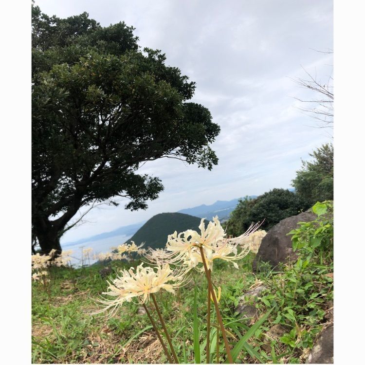 ponponaoさんが投稿した鉢巻山展望所に関する口コミの画像
