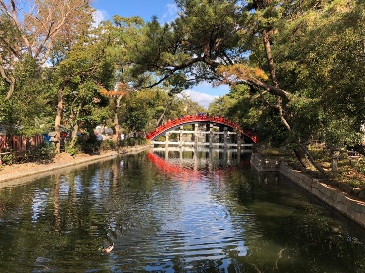 #おでかけ #冬 #神社 #住吉大社 #初詣 #大阪 #太鼓橋