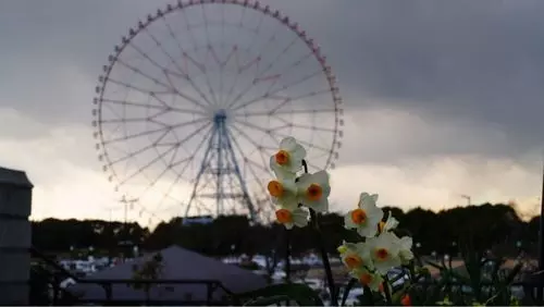 葛西臨海公園1号売店
