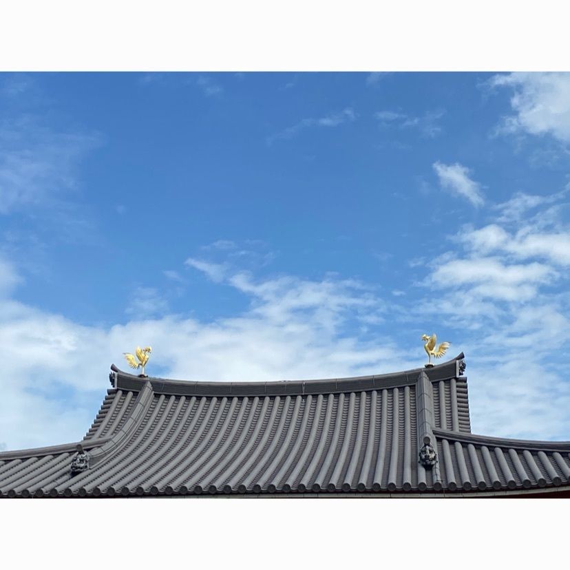 やすさんが投稿した平等院に関する口コミの画像