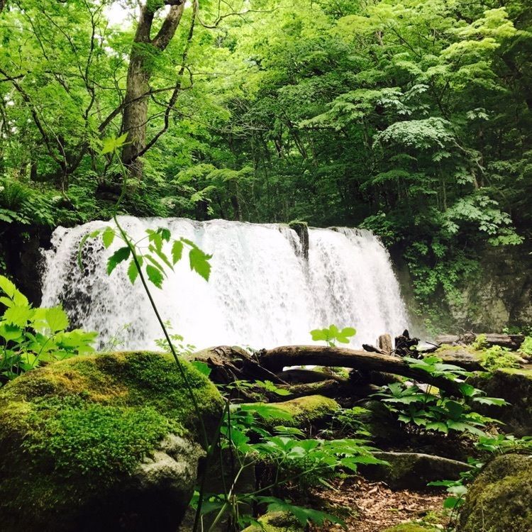 #おでかけ #青森 #旅行 #思い出フォト