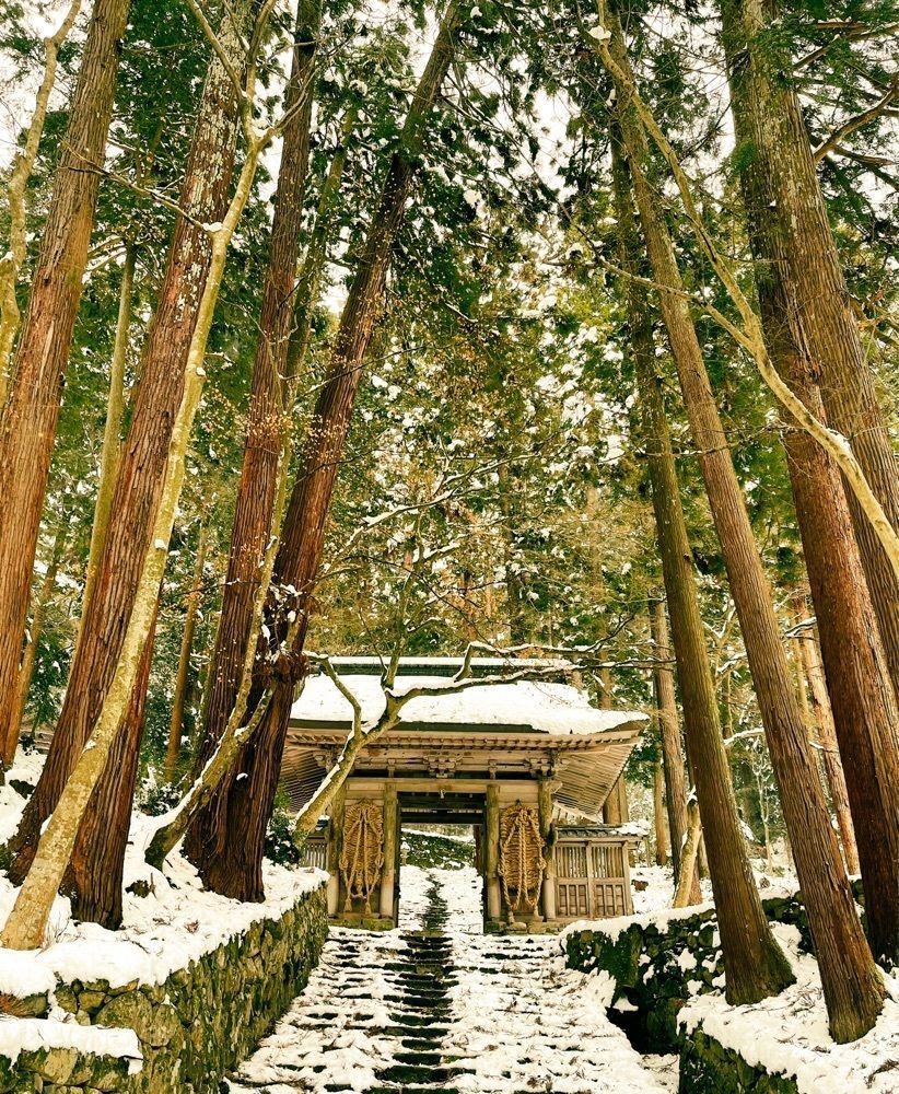 cocoa815さんが投稿した百済寺　本堂に関する口コミの画像
