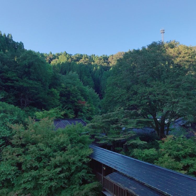 madone_takeshiさんが投稿したやまびこ旅館に関する口コミの画像