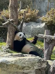 アドベンチャーワールド