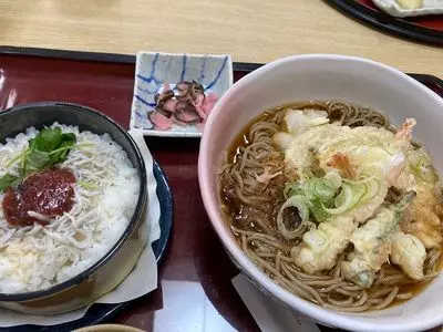 和食麺処 サガミ 磐田店（わしょくめんどころさがみ）
