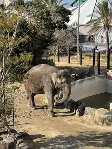 アドベンチャーワールド