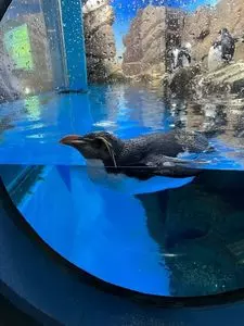 アドベンチャーワールド