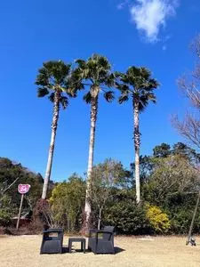 アドベンチャーワールド