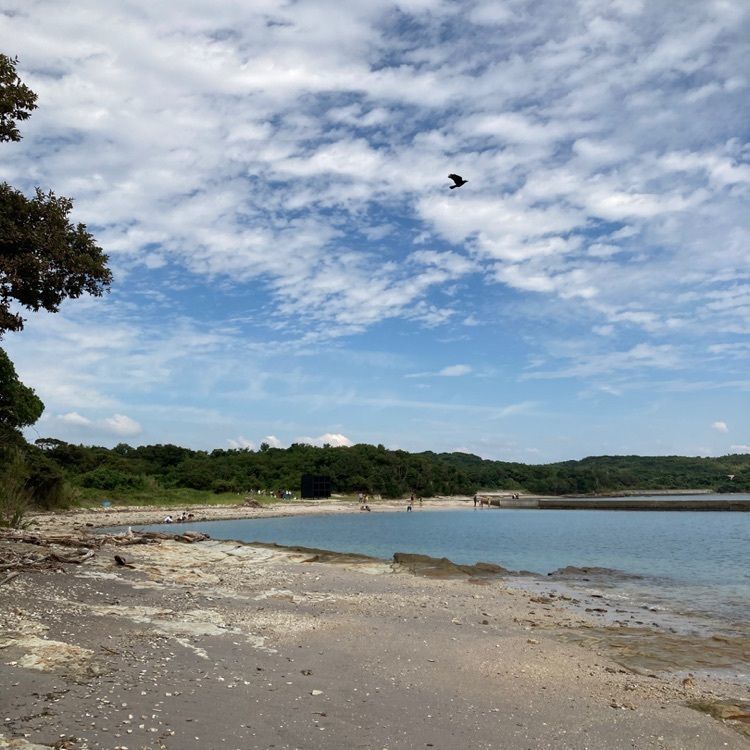 なおなおさんが投稿した佐久島海釣りセンターに関する口コミの画像